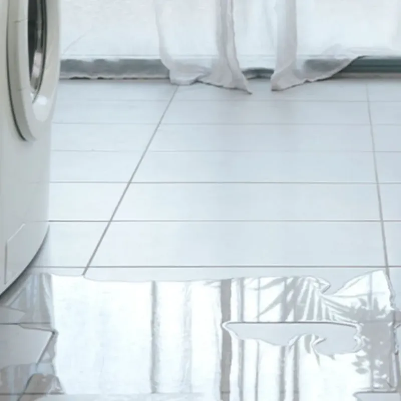 Appliance Leak Cleanup in Wise, VA