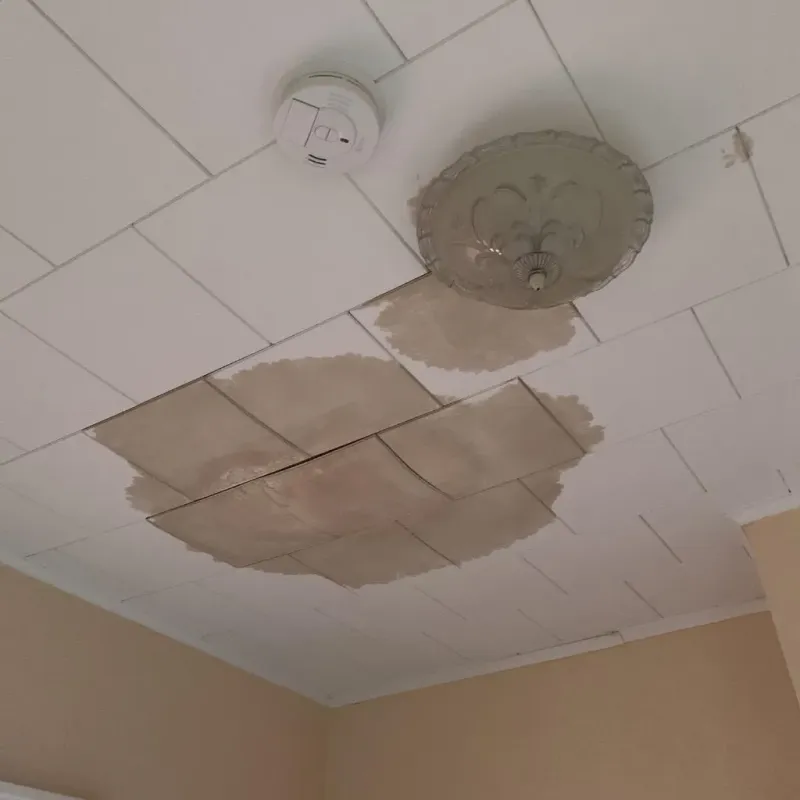 Ceiling Water Damage Repair in Wise, VA