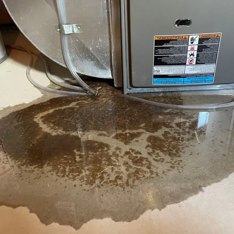 Pipe Burst and Leak Restoration in Wise, VA