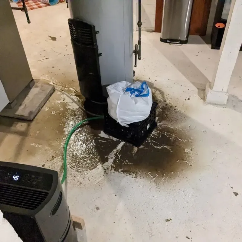Sewage Backup Cleanup Service in Wise, VA